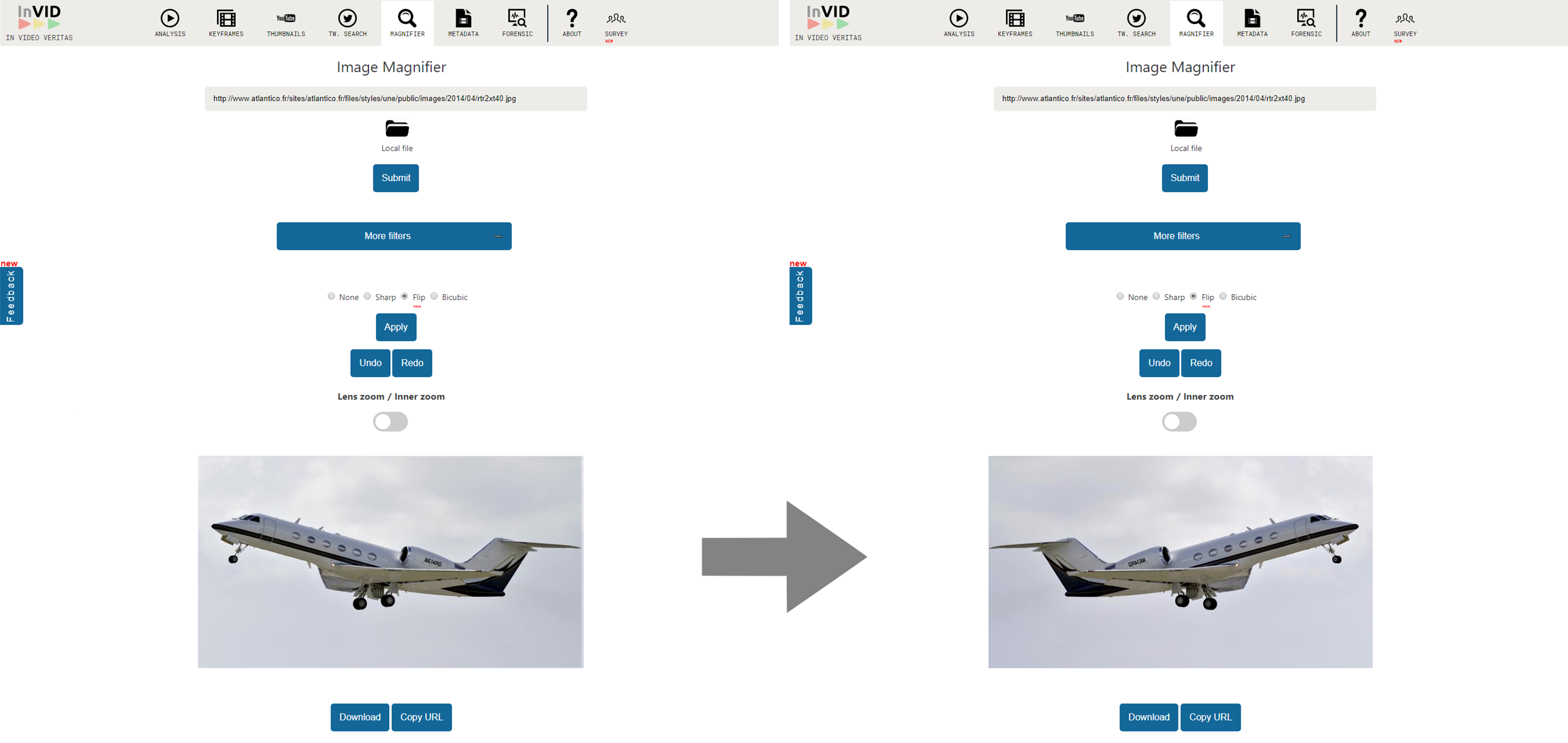 Magnifier tool for image mirroring